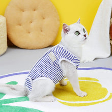 Cat Recovery Clothes