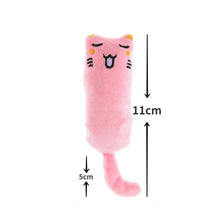 Catnip Cat Toy with Rustle Sound Plush Pillow