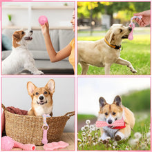 5-Piece Set Teeth Grinding Toys for Dogs