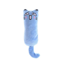 Catnip Cat Toy with Rustle Sound Plush Pillow