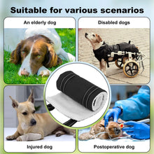 Dog Support Harness for Back Leg