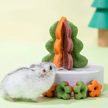 Natural Hamster Chew Treat