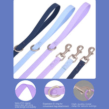 PVC Waterproof Dog Collar and Leash