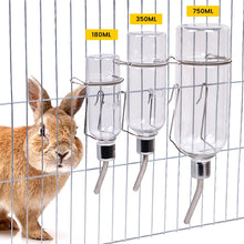 Water Bottle for Rabbits and Guinea Pigs