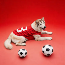 Thin Cool Summer Pet Jersey Vest