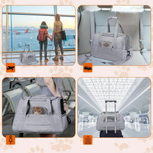 Pet Approved Travel Carrier Bag