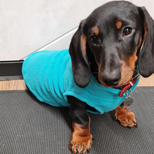 Dog Vest for Winter Clothing