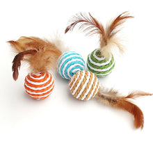 Colorful Cat Teaser Toy