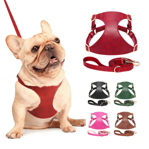 Soft Leather Dog Harness & Leash Set for Small & Medium Dogs