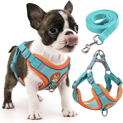 Step-in Reflective Dog Harness & Leash Set - Adjustable for Small & Medium Dogs