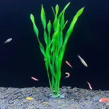 Aquarium Artificial Plant