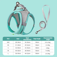 Adjustable Pet Harness and Lead Set