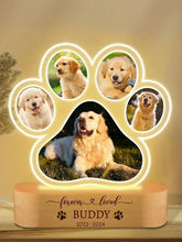 Custom Pet Memorial Night Light Photo