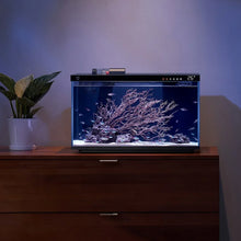 Smart Fish Tank