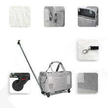 Foldable Pet Carrier with Strollers