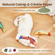 Catnip Fish Toy with Sound and Chew Features