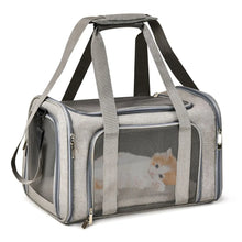 Airline Approved Pet Carrier