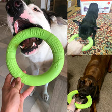 Colourful Ring Puller for Pets