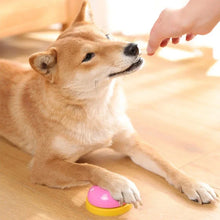 Colourful Pet Training Bell