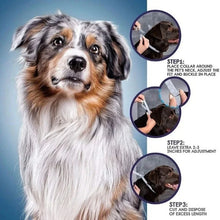 Anti Flea And Tick Collars for Pets