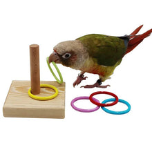 Bird Training Toys Set