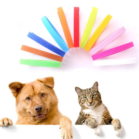 12-Piece Newborn Identification Collars for Puppies and Kittens