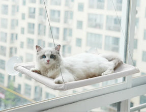 Colourful Aerial House for Kittens