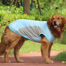 Reflective Cooling Pet Vest