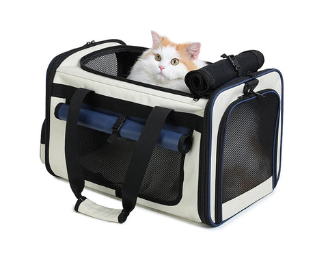Collapsible Pet Travel Carrier Case Bag