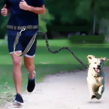 Adjustable Hand Free Dog Leash