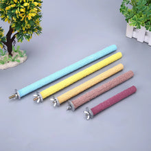 Colourful Parrot Claw Stick