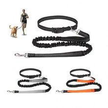 Hands Free Bungee Dog Leash