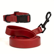 Adjustable Dog Collar and Leash Set for Small Medium Large Dogs