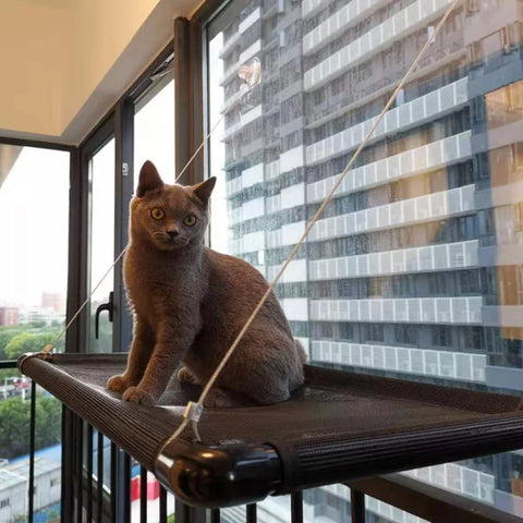 Comfortable Pet Cat Hanger