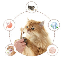 Cat Silvervine Stick Chew Toy