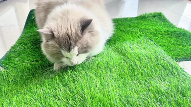 Reusable Pet Training Lawn