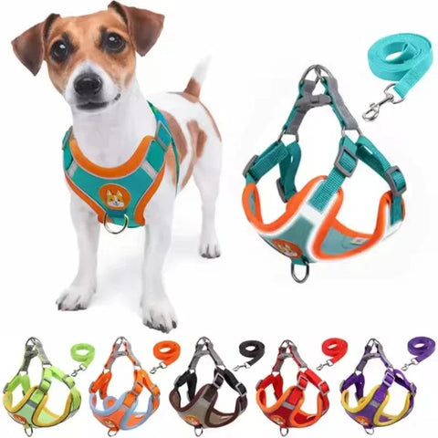 Adjustable Harness Leash Set for Dogs