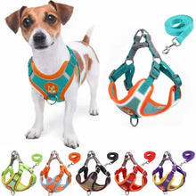 Adjustable Harness Leash Set for Dogs