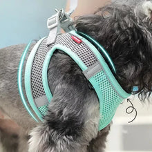 Adjustable Pet Harness and Lead Set