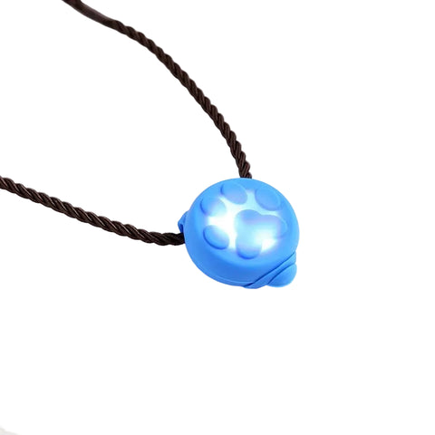 Colourful LED Pet Pendant