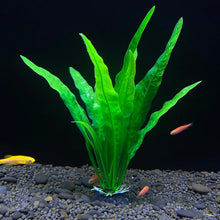 Aquarium Artificial Plant