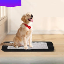 Large Pet Scale for Cats & Dogs