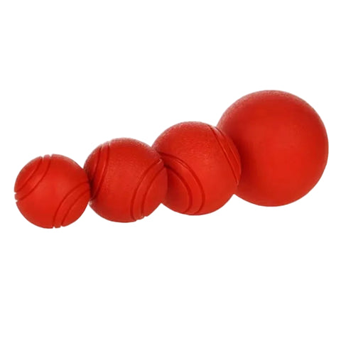 Rubber Ball Bite-Resistant Dog Toy