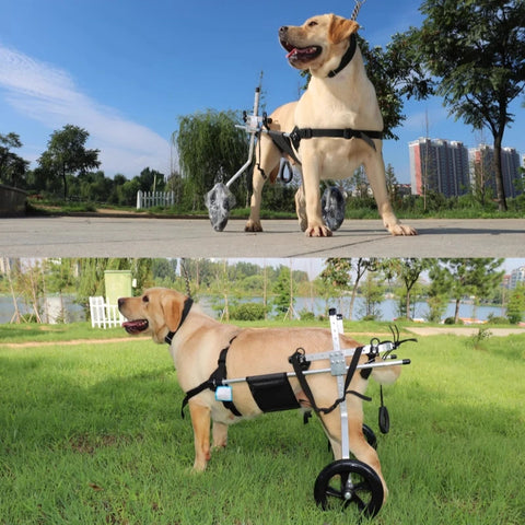 Large Dog Wheelchair For Hind Limb