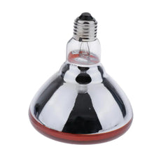 Infrared Heat Bulb for Pet Warmth