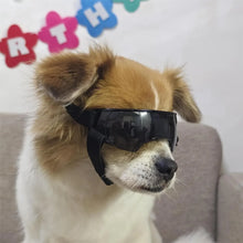 Dog Sunglasses Small Breed