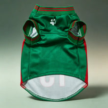 Quick-Dry Dog Football Jersey