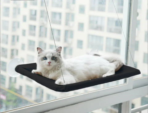 Colourful Aerial House for Kittens