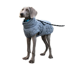 Reflective Winter Jacket for Large Dogs