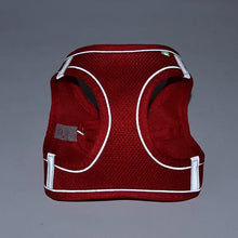 Adjustable Pet Harness and Lead Set